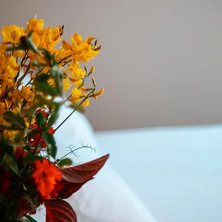 E Bardhe Butique Sarandë