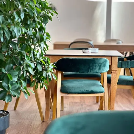 Hotel E Bardhe Butique